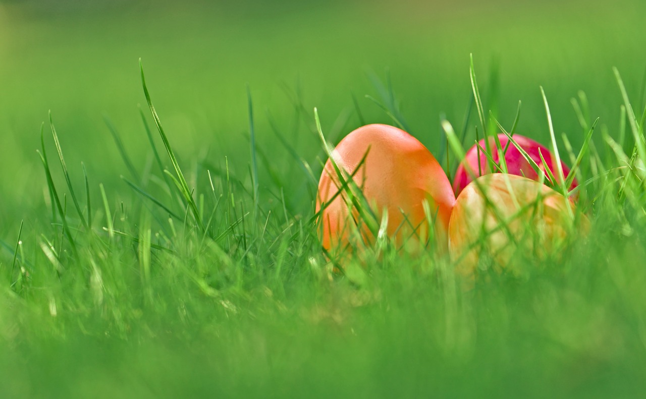 Bunte Ostereier im grünen Rasen